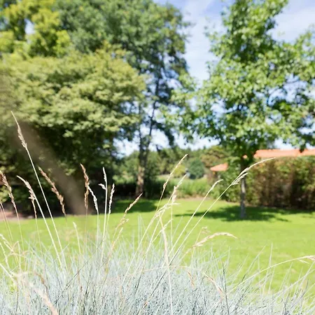 Holiday home De Koolmees 6-persoons Lievelde