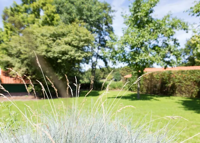 Сasa de vacaciones De Koolmees 6-persoons Lievelde